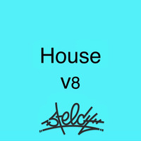 6.12 House V8 by Steech