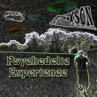 PsySon - Psychedelic Experience (PsyTrance-Mix) by PsySon