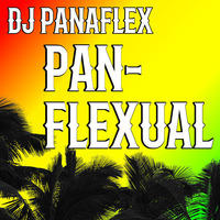 DJ Panaflex - Panflexual by DJ Panaflex