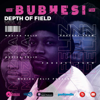 Depth Of Field 4 (Mixed by Bubhesi) [A Tequila Gang Live! Recording] by Muzika Feliz