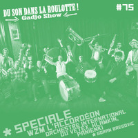  Podcast #075 : SPECIALE WAZEMMES L'ACCORDEON : Orchestre International du Vetex, Karl Hlamkin, Panienki... by DU SON DANS LA ROULOTTE ! (Gadjo Show)