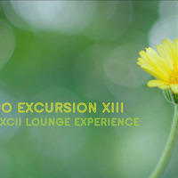kxngmcmxcii presents downtempo excursion xiii - the kxngmcmxcii lounge by KXNGMCMXCII RECORDINGS