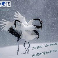MOTS presents The Beat - The Dance Guestmix by Bontle by MOTS