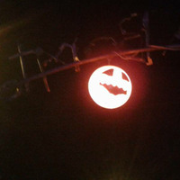 B Desert Storm Halloween Party Rennes UNKNOWN FREQUENCIES OKIDOKI  VJ ROOFLX by DESERTSTORM SOUND SYSTEM