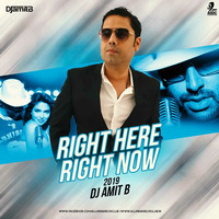 Right Here Right Now (Remix) _ 320kbps by DJ Amit B