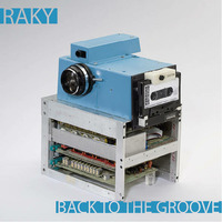 BACK TO THE GROOVE by Raky