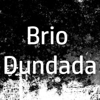 Acting Funny by Brio Dundada
