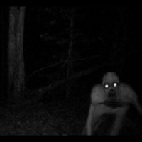 demons run at night by Max Kante