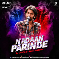 Nadaan Parinde (Mashup) - Dj Lalit &amp; DJ Rohit by DJ LALIT