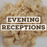 Evening Receptions by dabas-e