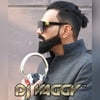 DJ Vaggy
