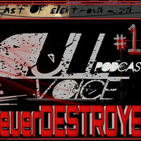 DuLL.voice podcast#14 SteuerDestroyer by DuLLvoice..podcast