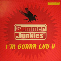 Summer Junkies- I'm Gonna Luv U [DUB] (Ataxia Bootleg) by oliver kopf