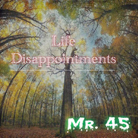 Life Disappointments - Mr. 45 by DeepIsh