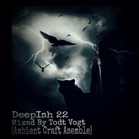 Deep Ish #22 Mixed By Todt Vogt by DeepIsh