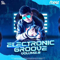 Electronic Groove Vol.8 Dj Raesz