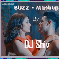 shiv production presents (BUZZ-feat Aastha Gill &amp;Badshah) - DJ Shiv Smashup  mp3 by Shib Sankar Roy