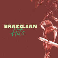 BRAZILIAN HITS by djsurfista