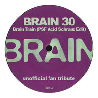 Brain 30 - Brain Train (PSF Acid Schranz Edit) by PSF