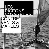 Les Pigeons Voyageurs