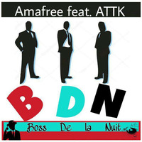 Amafree ft - AUTHENTIK---BDN by Nounisy PointsComs