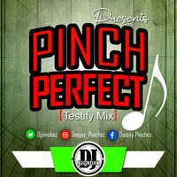 PinchPerfect [Testify Mix] - ({Deejay Pinchez.}) by Deejay Pinchez