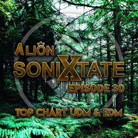 A Lion - Sonixtate Episode 30 (August 05 2018) by A Lion