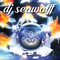 DJ Seawolff Live : The Techno Sessions Volume 2 by CJ Wolff