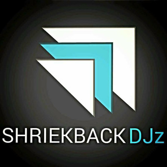 SHRIEKBACK DJS