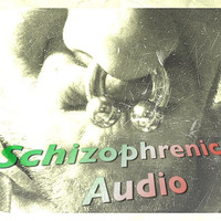 Schizophrenic Audio Hardgroove Mix 17.01.2016 Vinyl Set by Schizophrenic Audio