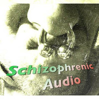 Schizophrenic Audio Hardtechno Mini Mix 28.03.2015 Vinyl Only by Schizophrenic Audio