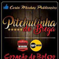 PITCHULINHA DO BREGA  CANTANDO RECORDAÇÕES HOJE E SEMPRE by HuGo PimeNtel
