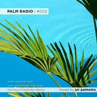Palm Radio | #002 by Jer Palmetto