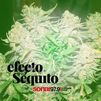 Efecto Séquito -  #01  - 02-03-2018 by Efecto Séquito - FM Sonar 97.9