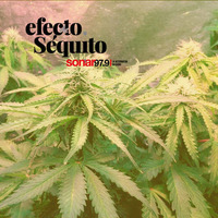 Efecto Séquito - #03 - 17-03-2018 by Efecto Séquito - FM Sonar 97.9
