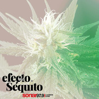 Efecto Séquito - #05 - 30-03-2018 by Efecto Séquito - FM Sonar 97.9