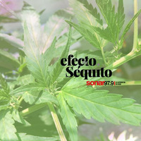 Efecto Séquito - #06 - 06-04-2018 by Efecto Séquito - FM Sonar 97.9