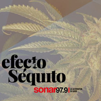 Efecto Séquito - #07 - 13-04-2018 by Efecto Séquito - FM Sonar 97.9
