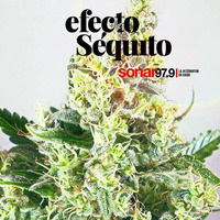 Efecto Séquito - #08 - 20-04-2018 by Efecto Séquito - FM Sonar 97.9