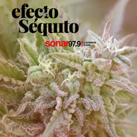 Efecto Séquito - #11 - 11-05-2018 by Efecto Séquito - FM Sonar 97.9