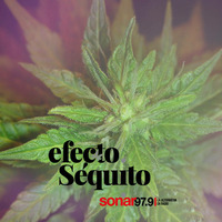 Efecto Séquito - #15 - 08-06-2018 by Efecto Séquito - FM Sonar 97.9