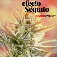Efecto Séquito - #16 - 15-06-2018 by Efecto Séquito - FM Sonar 97.9