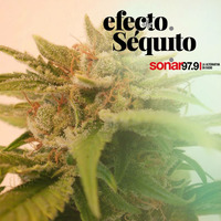 Efecto Séquito - #23 - 03-08-2018 by Efecto Séquito - FM Sonar 97.9
