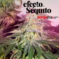 Efecto Séquito - #24 - 10-08-2018 by Efecto Séquito - FM Sonar 97.9