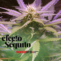 Efecto Séquito - #26 - 24-08-2018 by Efecto Séquito - FM Sonar 97.9