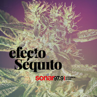Efecto Séquito - #30 - 28-09-2018 by Efecto Séquito - FM Sonar 97.9