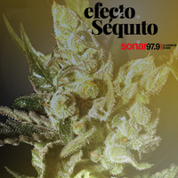 Efecto Séquito - #36 - 09-11-2018 by Efecto Séquito - FM Sonar 97.9