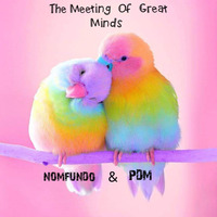The Meeting Of Great Minds mixed &amp; presented by NOMFUNDO  &amp; PDM by D.I.M SA