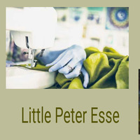 In the House-Master Mix Little Peter Esse-15-08-2020 by Little Peter esse