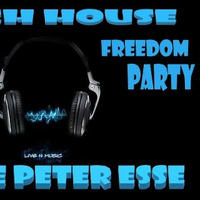 Freedom Party -02-Deep tech house-Mixed Little Peter Esse by Little Peter esse